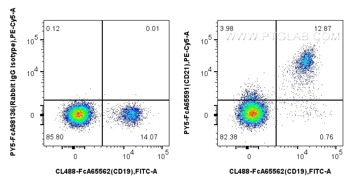 Flow cytometry (FC) experiment of human PBMCs using FcZero-rAb® PE-Cyanine5 Anti-Human CD21 (BU32) Rab (PY5-FcA65591)