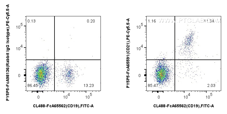 Flow cytometry (FC) experiment of human PBMCs using FcZero-rAb™ PE-Cyanine5.5 Anti-Human CD21 (BU32) R (PY5P5-FcA65591)