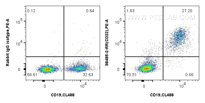 1x10^6 mouse splenocytes were surface stained with 0.25 ug Anti-Mouse CD22 Rabbit RecAb (98485-2-RR, Clone: 250078D10) or 0.25 ug Rabbit IgG Isotype Control RecAb (98136-1-RR, Clone: 240953C9), and PE-Conjugated Goat Anti-Rabbit IgG(H+L). Cells were then stained with CoraLite® Plus 488 Anti-Mouse CD19 (1D3) (CL488-65290, Clone: 1D3). Cells were not fixed. This data was developed using the same antibody clone with 98485-2-PBS in a different storage buffer formulation. Flow cytometry (FC) experiment of mouse splenocytes using Anti-Mouse CD22 Rabbit Recombinant Antibody (98485-2-RR)