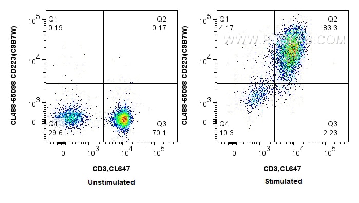 Flow cytometry (FC) experiment of BALB/C mouse splenocytes using CoraLite® Plus 488 Anti-Mouse CD223 (C9B7W) (CL488-65098)