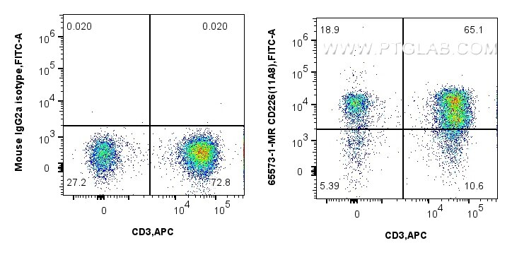 CD226