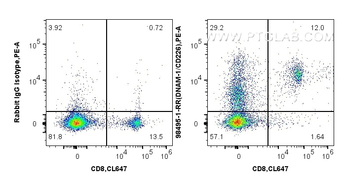 1x10^6 mouse splenocytes were surface stained with 0.25 ug Anti-Mouse CD226 Rabbit RecAb (98495-1-RR, Clone: 250384G1) or Rabbit IgG Isotype Control RecAb (98136-1-RR, Clone: 240953C9) and PE-Conjugated Goat Anti-Rabbit IgG(H+L). Cells were then stained with CoraLite® Plus 647 Anti-Mouse CD8a. Cells were not fixed. This data was developed using the same antibody clone with 98495-1-PBS in a different storage buffer formulation. Flow cytometry (FC) experiment of mouse splenocytes using Anti-Mouse CD226 Rabbit Recombinant Antibody (98495-1-RR)