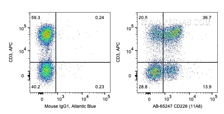 Flow cytometry (FC) experiment of human PBMCs using Atlantic Blue™ Anti-Human CD226 (11A8) (AB-65247)
