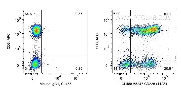 Flow cytometry (FC) experiment of human PBMCs using CoraLite® Plus 488 Anti-Human CD226 (11A8) (CL488-65247)