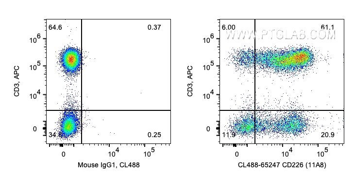 FC experiment of human PBMCs using CL488-65247