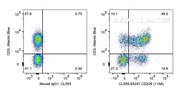 Flow cytometry (FC) experiment of human PBMCs using CoraLite® Plus 555 Anti-Human CD226 (11A8) (CL555-65247)