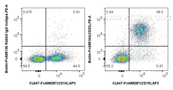 CD23 antibody (Biotin-FcA98164) | Proteintech