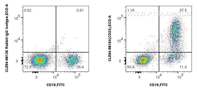 FC experiment of mouse splenocytes using CL594-98164 Flow cytometry (FC) experiment of mouse splenocytes using CoraLite®594 Anti-Mouse CD23 Rabbit Recombinant An (CL594-98164)