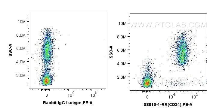 FC experiment of human peripheral blood lymphocytes using 98615-1-RR Flow cytometry (FC) experiment of human peripheral blood lymphocytes using Anti-Human CD24 Rabbit Recombinant Antibody (98615-1-RR)