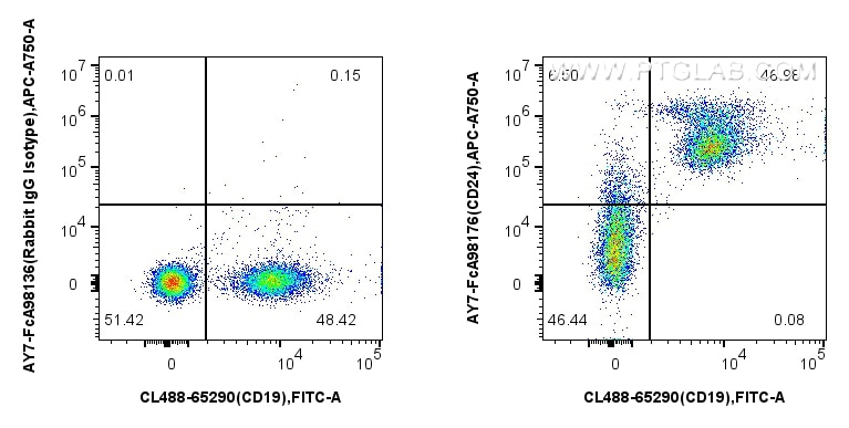 Flow cytometry (FC) experiment of mouse splenocytes using FcZero-rAb™ APC-Cyanine7 Anti-Mouse CD24 Rabbit Re (AY7-FcA98176)