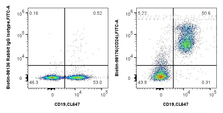 FC experiment of mouse splenocytes using Biotin-98176 Flow cytometry (FC) experiment of mouse splenocytes using Biotin Anti-Mouse CD24 Rabbit Recombinant Antibody (Biotin-98176)