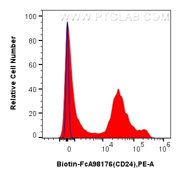 FC experiment of mouse splenocytes using Biotin-FcA98176 Flow cytometry (FC) experiment of mouse splenocytes using Biotin Anti-Mouse CD24 Rabbit Recombinant Antibody (Biotin-FcA98176)