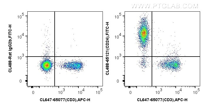 Flow cytometry (FC) experiment of mouse splenocytes using CoraLite® Plus 488 Anti-Mouse CD24 (M1/69) (CL488-65121)