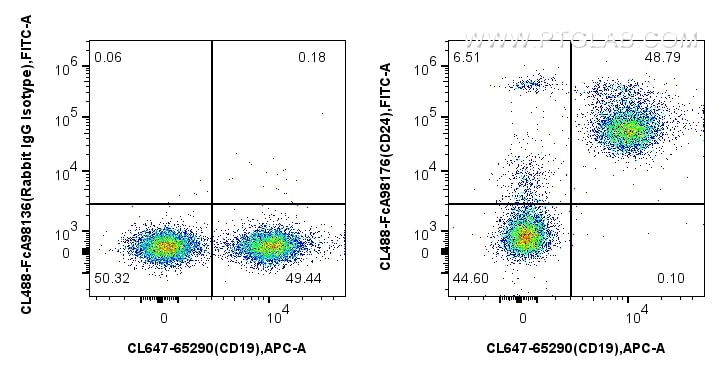 1x10^6 mouse splenocytes were surface stained with CoraLite® Plus 647 Anti-Mouse CD19 (1D3), and 0.25 ug CoraLite® Plus 488 Anti-Mouse CD24 Rabbit RecAb (CL488-FcA98176, Clone: 241691D7) or FcZero-rAb™ CoraLite® Plus 488 Rabbit IgG Isotype Control Recombinant Antibody (CL488-FcA98136, Clone: 240953C9). Cells were not fixed. Flow cytometry (FC) experiment of mouse splenocytes using FcZero-rAb™ CoraLite® Plus 488 Anti-Mouse CD24 Rab (CL488-FcA98176)