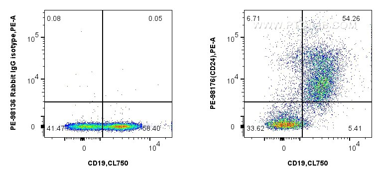 Flow cytometry (FC) experiment of mouse splenocytes using PE Anti-Mouse CD24 Rabbit Recombinant Antibody (PE-98176)