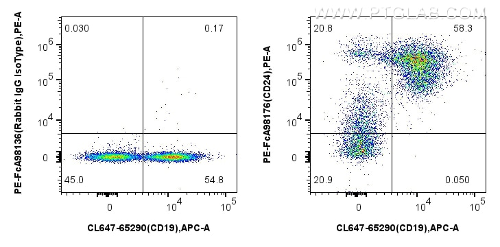 Flow cytometry (FC) experiment of mouse splenocytes using FcZero-rAb™ PE Anti-Mouse CD24 Rabbit Recombinant  (PE-FcA98176)