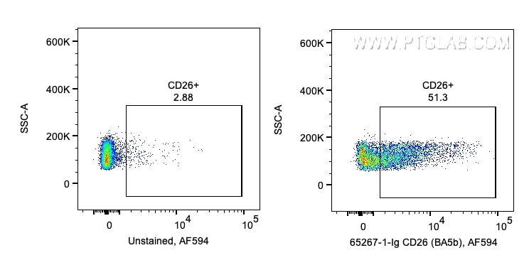 Flow cytometry (FC) experiment of human PBMCs using Anti-Human CD26 (BA5b) (65267-1-Ig)