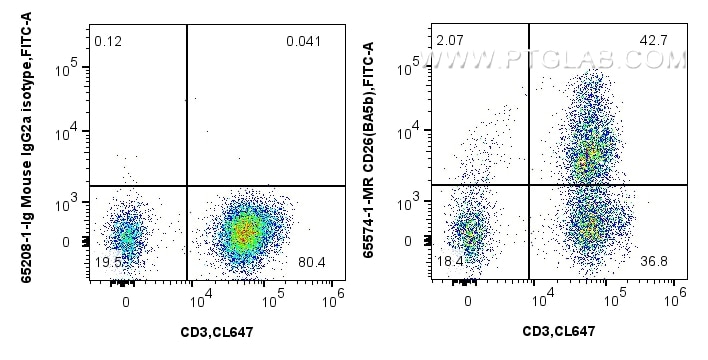 DPP4/CD26
