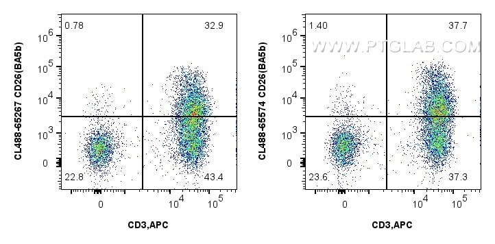 CD26