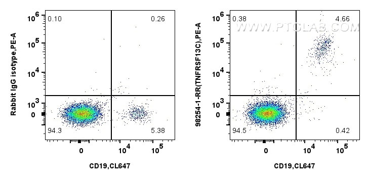 Flow cytometry (FC) experiment of human PBMCs using Anti-Human CD268/BAFF-R Rabbit Recombinant Antibod (98254-1-RR)