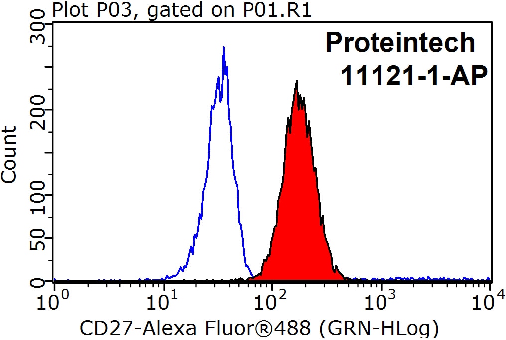 Flow cytometry (FC) experiment of Raji cells using CD27 Polyclonal antibody (11121-1-AP)