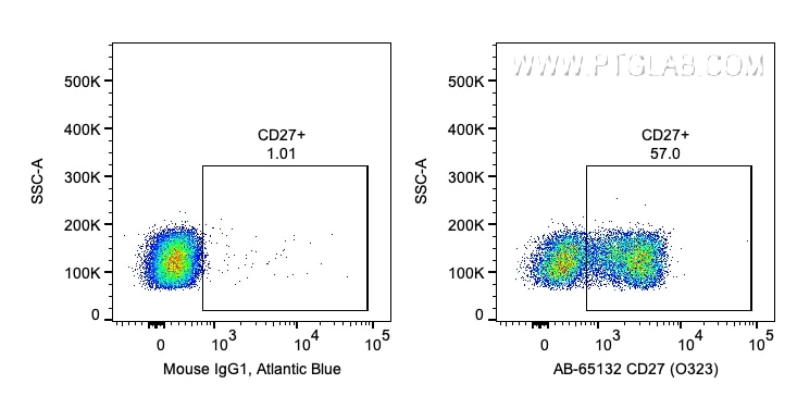Flow cytometry (FC) experiment of human PBMCs using Atlantic Blue™ Anti-Human CD27 (O323) (AB-65132)