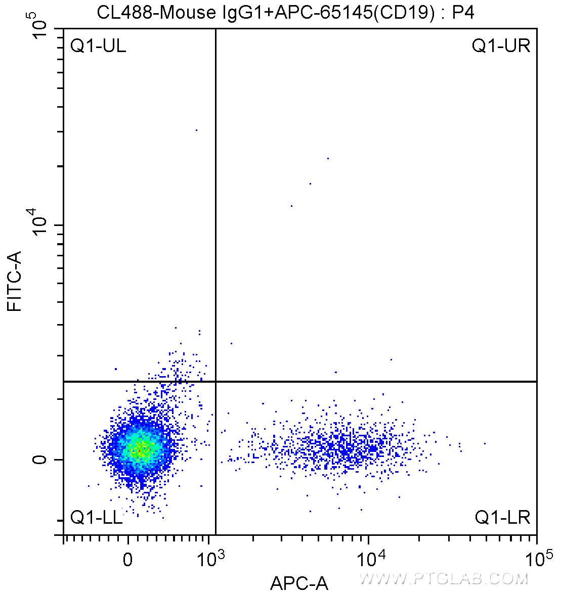 FC experiment of human peripheral blood lymphocytes using CL488-65132