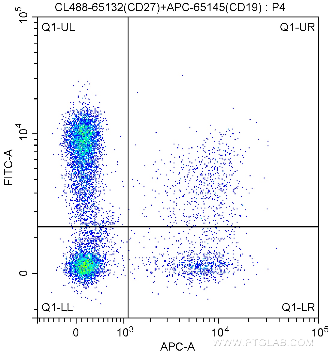 FC experiment of human peripheral blood lymphocytes using CL488-65132