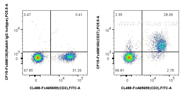 1x10^6 mouse splenocytes were surface stained with FcZero-rAb™ CoraLite® Plus 488 Anti-Mouse CD3 (17A2), and 0.25 ug PerCP-Cyanine5.5 Anti-Mouse CD27 Rabbit RecAb (CPY5-FcA98160, Clone: 241378E11) or FcZero-rAb™ PerCP-Cyanine5.5 Rabbit IgG Isotype Control Recombinant Antibody (CPY5-FcA98136, Clone: 240953C9). Cells were incubated with MonoZero™ Monocytes blocking Reagent (PF00020) prior to staining. Cells were not fixed. Flow cytometry (FC) experiment of mouse splenocytes using FcZero-rAb™ PerCP-Cyanine5.5 Anti-Mouse CD27 Rabbi (CPY5-FcA98160)
