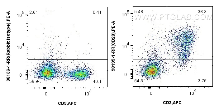 Flow cytometry (FC) experiment of mouse splenocytes using Anti-Mouse CD28 Rabbit Recombinant Antibody (98195-1-RR)