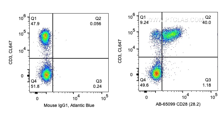 Flow cytometry (FC) experiment of human PBMCs using Atlantic Blue™ Anti-Human CD28 (CD28.2) (AB-65099)