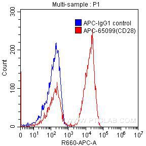 Flow cytometry (FC) experiment of human peripheral blood lymphocytes using APC Anti-Human CD28 (CD28.2) (APC-65099)