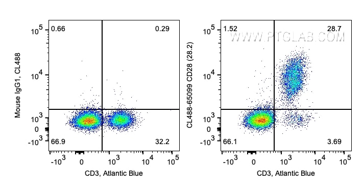 Flow cytometry (FC) experiment of human PBMCs using CoraLite® Plus 488 Anti-Human CD28 (CD28.2) (CL488-65099)