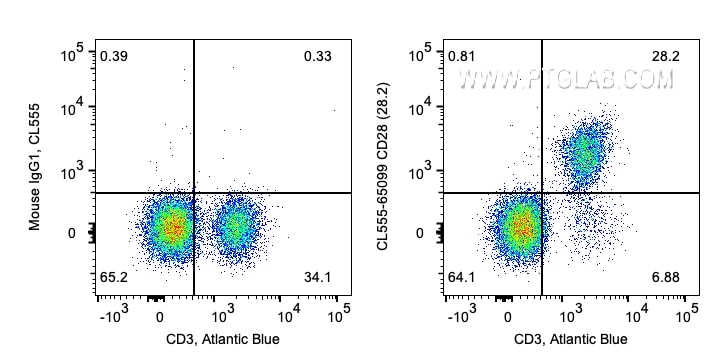 FC experiment of human PBMCs using CL555-65099