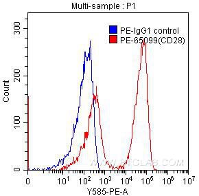 CD28