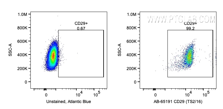 Flow cytometry (FC) experiment of human PBMCs using Atlantic Blue™ Anti-Human CD29 (TS2/16) (AB-65191)