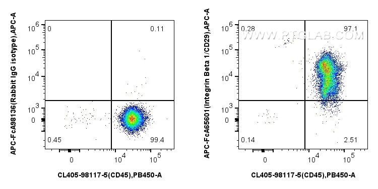 1x10^6 cynomolgus PBMCs were surface stained with CoraLite® Plus 405 Anti-Human CD45 Rabbit Recombinant Antibody (CL405-98117-5, Clone: 251964B9), and 5 ul APC Anti-Human Integrin Beta 1/CD29 (TS2/16) Rabbit IgG RecAb (APC-FcA65601, Clone: TS2/16) or FcZero-rAb™ APC Rabbit IgG Isotype Control Recombinant Antibody (APC-FcA98136, Clone: 240953C9). Cells were not fixed. Flow cytometry (FC) experiment of Cnyo PBMCs using FcZero-rAb™ APC Anti-Human Integrin Beta 1/CD29 (T (APC-FcA65601)