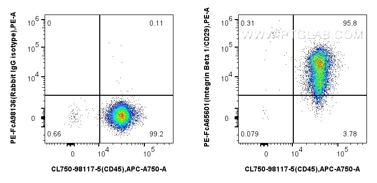 Flow cytometry (FC) experiment of Cnyo PBMCs using FcZero-rAb™ PE Anti-Human Integrin Beta 1/CD29 (TS (PE-FcA65601)