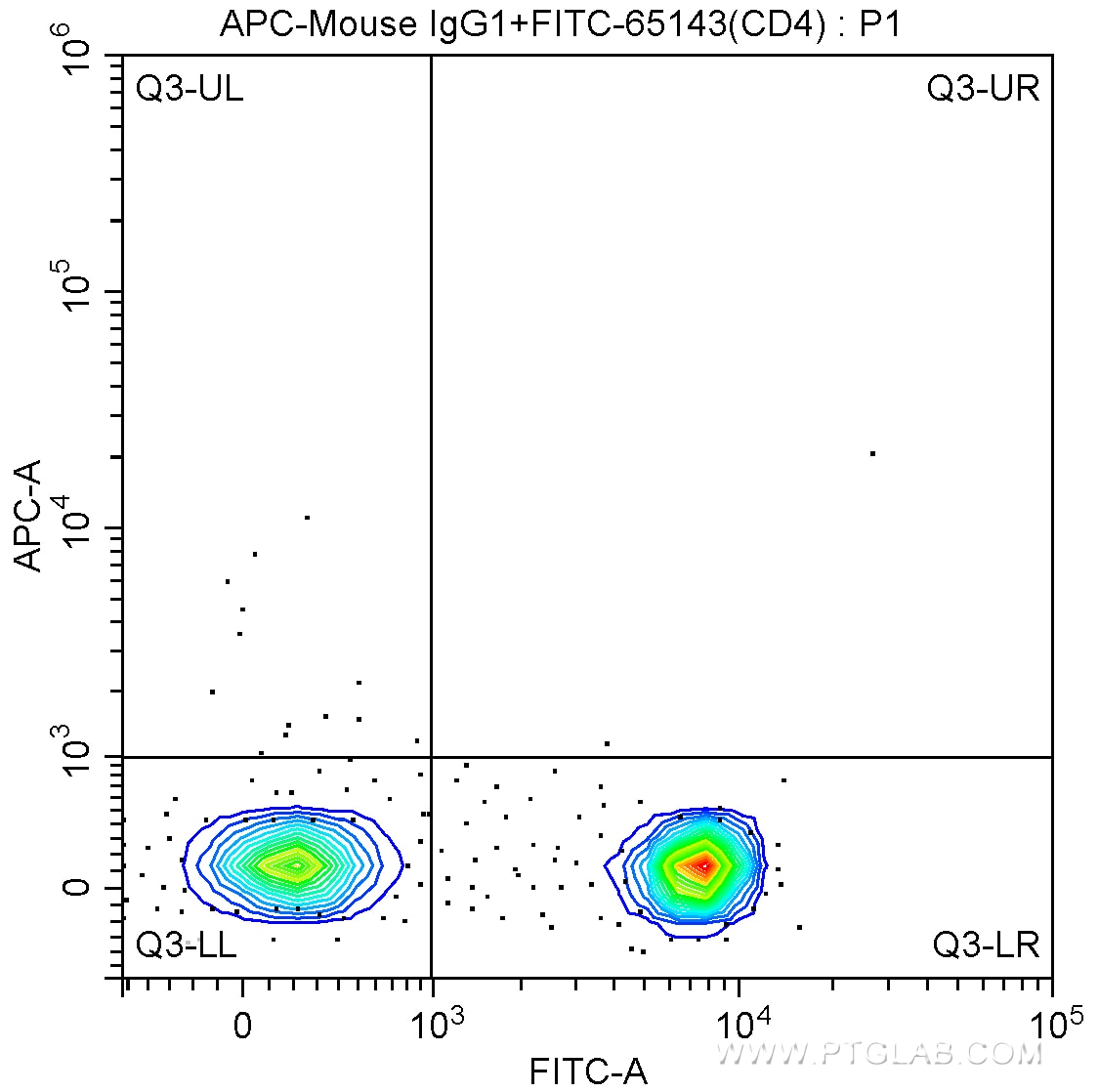 CD3