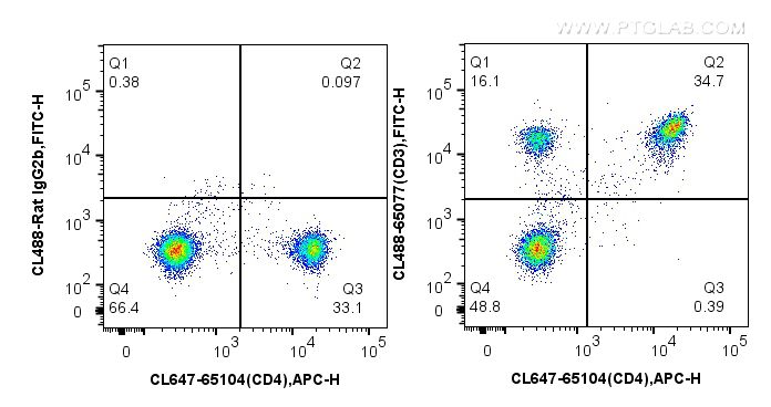 FC experiment of mouse splenocytes using CL488-65077