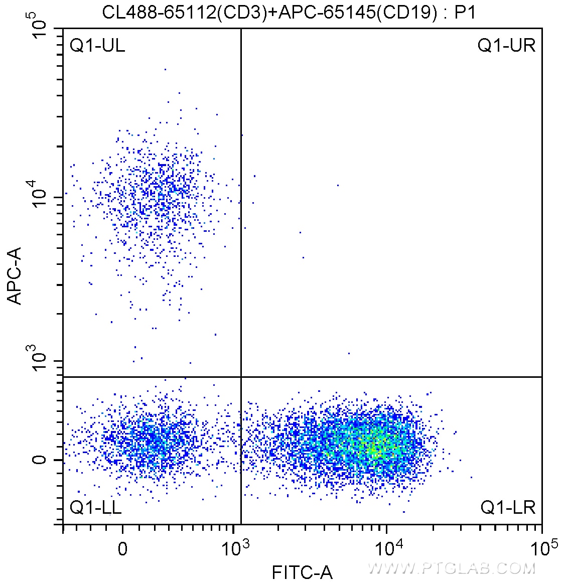 FC experiment of human peripheral blood lymphocytes using CL488-65112