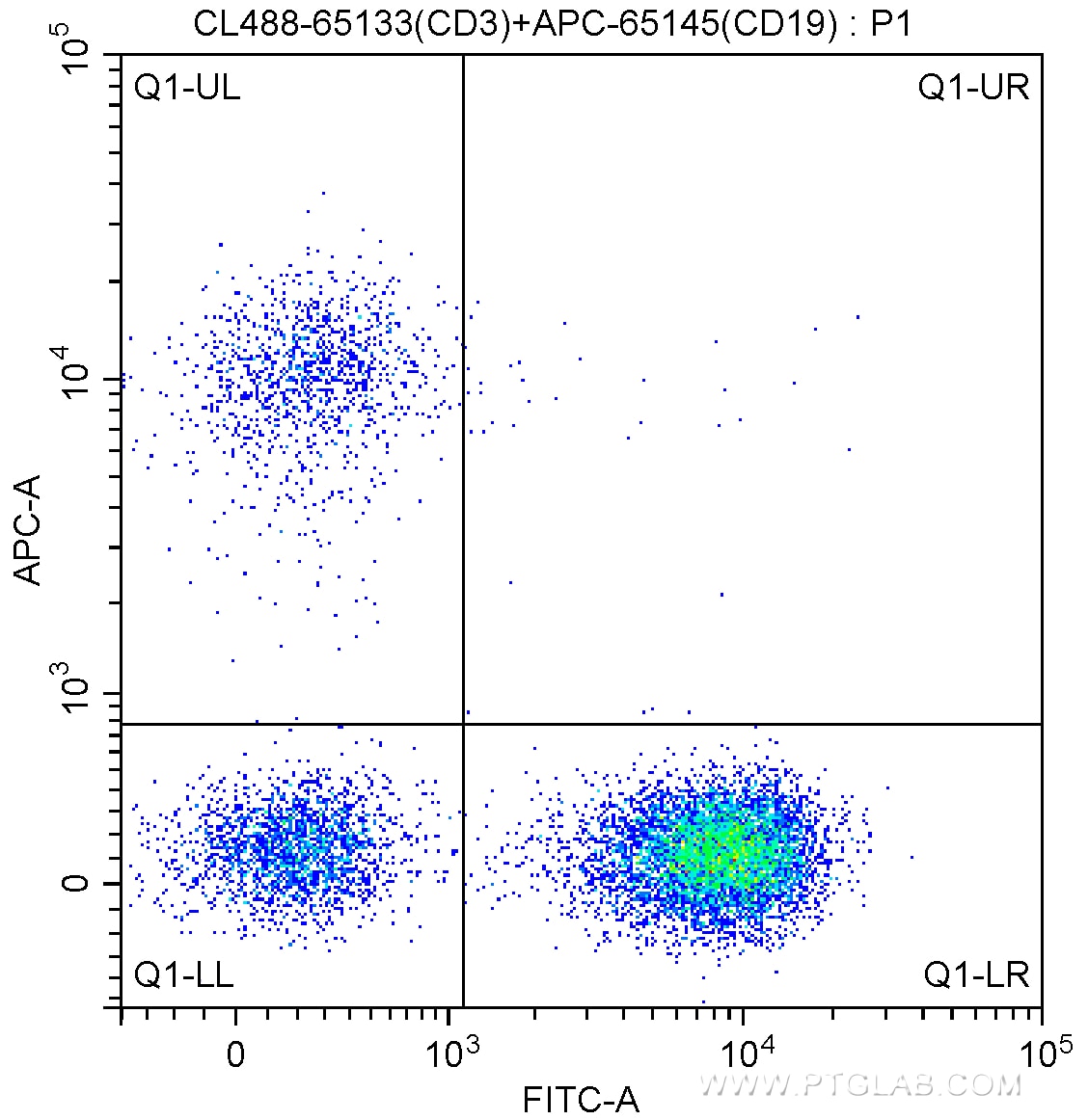 Flow cytometry (FC) experiment of human peripheral blood lymphocytes using CoraLite® Plus 488 Anti-Human CD3 (OKT3) (CL488-65133)