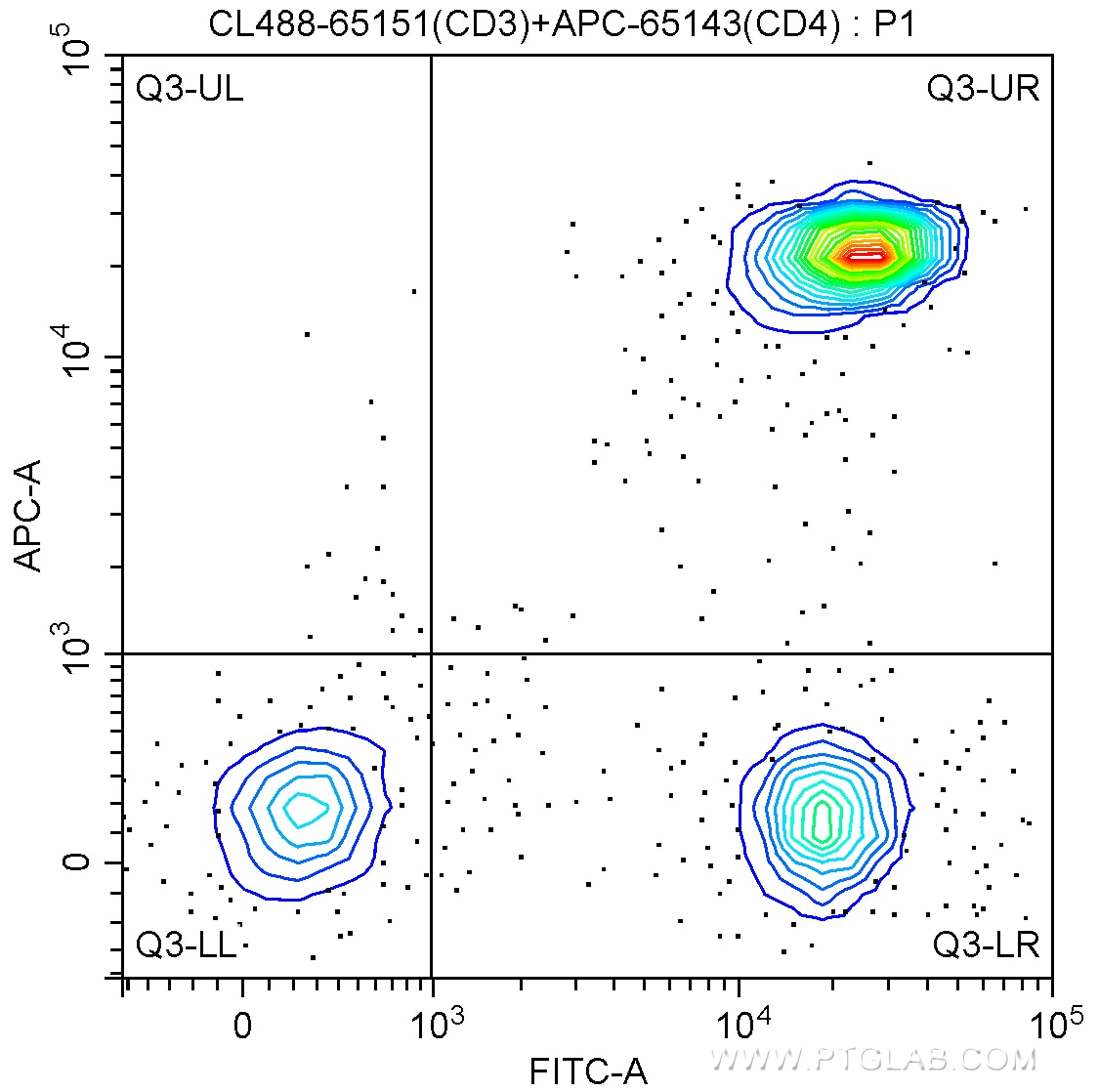 CD3