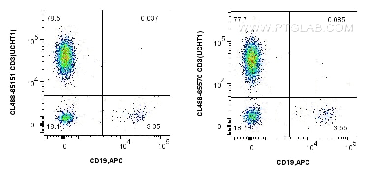 CD3