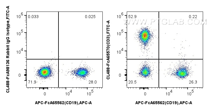 FC experiment of human PBMCs using CL488-FcA65570 Flow cytometry (FC) experiment of human PBMCs using FcZero-rAb® CoraLite® Plus 488 Anti-Human CD3 (UCH (CL488-FcA65570)
