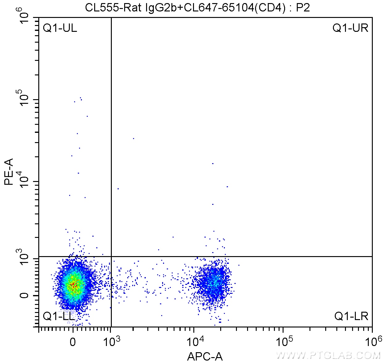 CD3