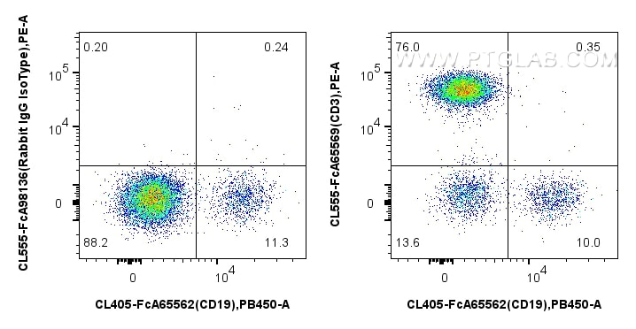 FC experiment of human PBMCs using CL555-FcA65569 Flow cytometry (FC) experiment of human PBMCs using FcZero-rAb® CoraLite® Plus 555 Anti-Human CD3 (OKT (CL555-FcA65569)