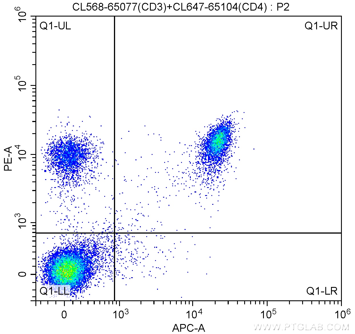 FC experiment of mouse splenocytes using CL568-65077