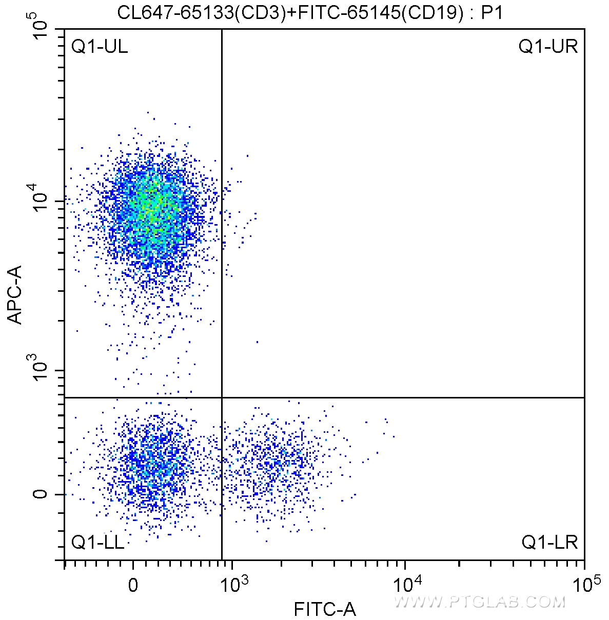 CD3