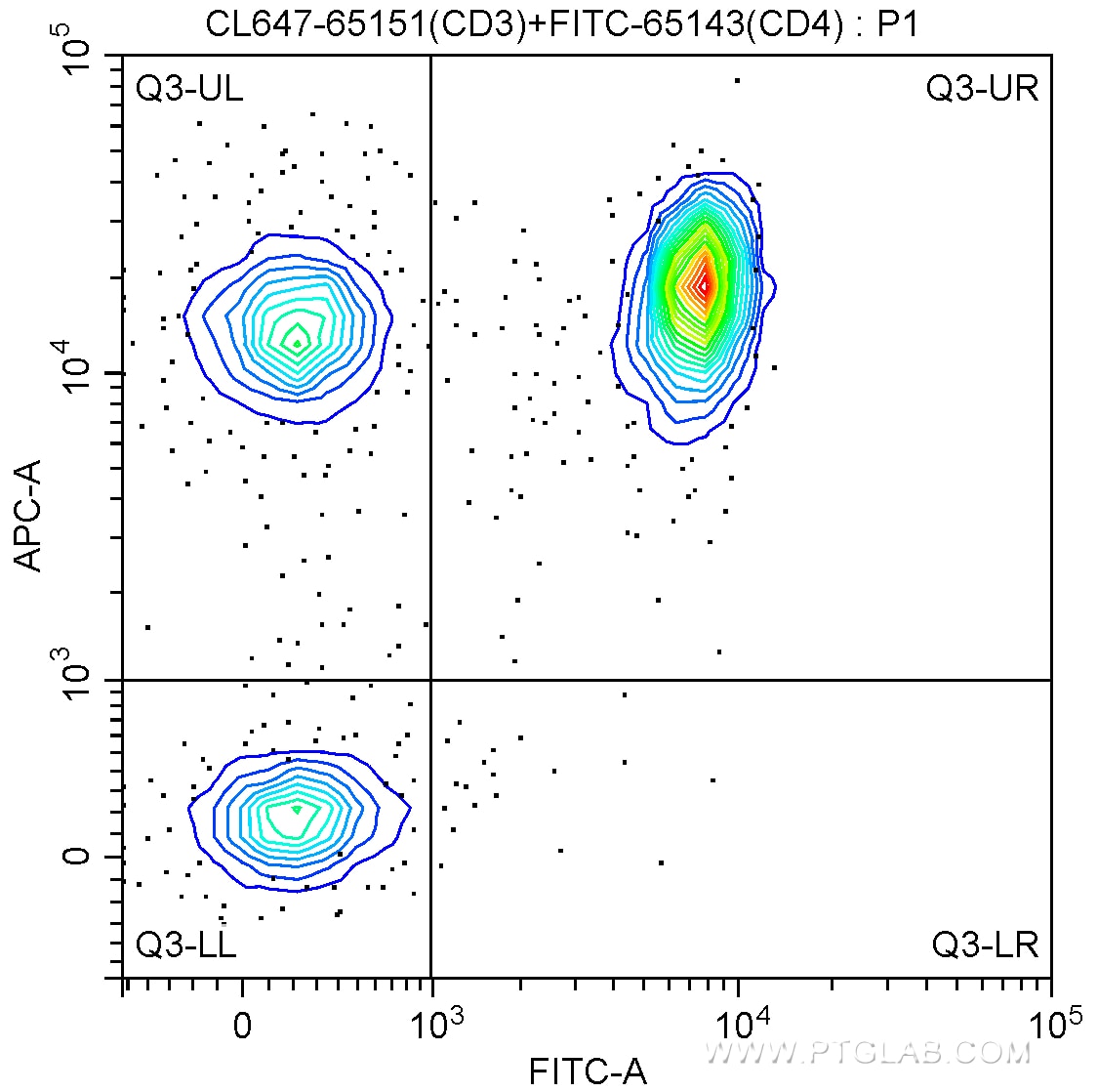 CD3